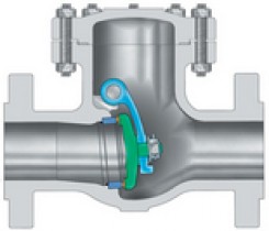 Cryogenic swing check valves