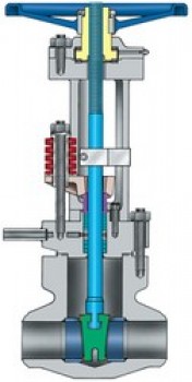 Bolted bonnet flexible wedge gate valves