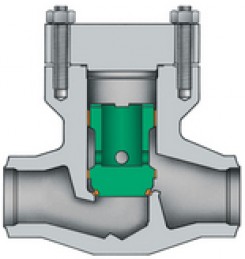 Bolted cover piston check valves