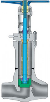 Bolted bonnet bellows seal globe valves