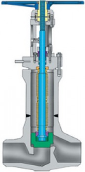 Bolted bonnet bellows seal globe valves