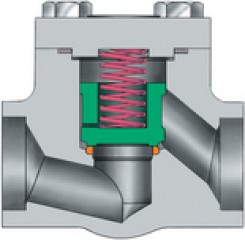 Cryogenic check valves