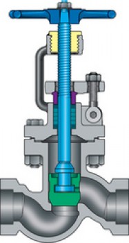 Cast Stainless Steel Socket weld/threaded globe valves