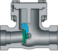 Cast Stainless Socket weld/threaded check valves