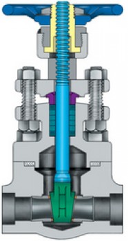 Forged Gate valves API 602