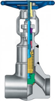 Bellows seal globe valves